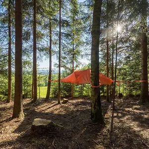 baumzelt-waldesrand.com-bavaria.com/
